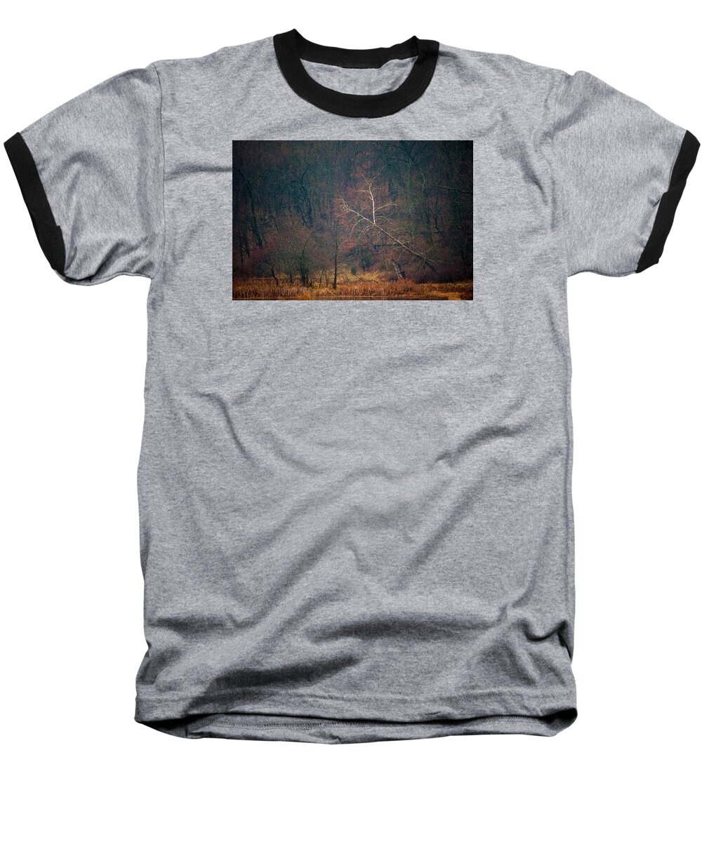 Nature Baseball T-Shirt featuring the photograph Sycamore Inclination by Jeff Phillippi