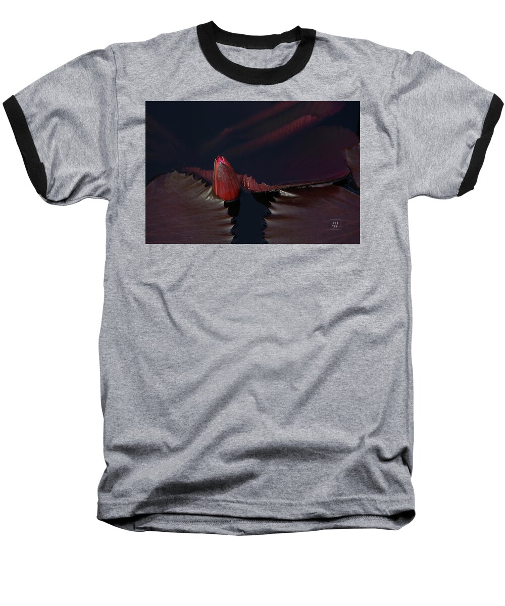 Water Lilies Baseball T-Shirt featuring the photograph Symphony In Red by Yvonne Wright