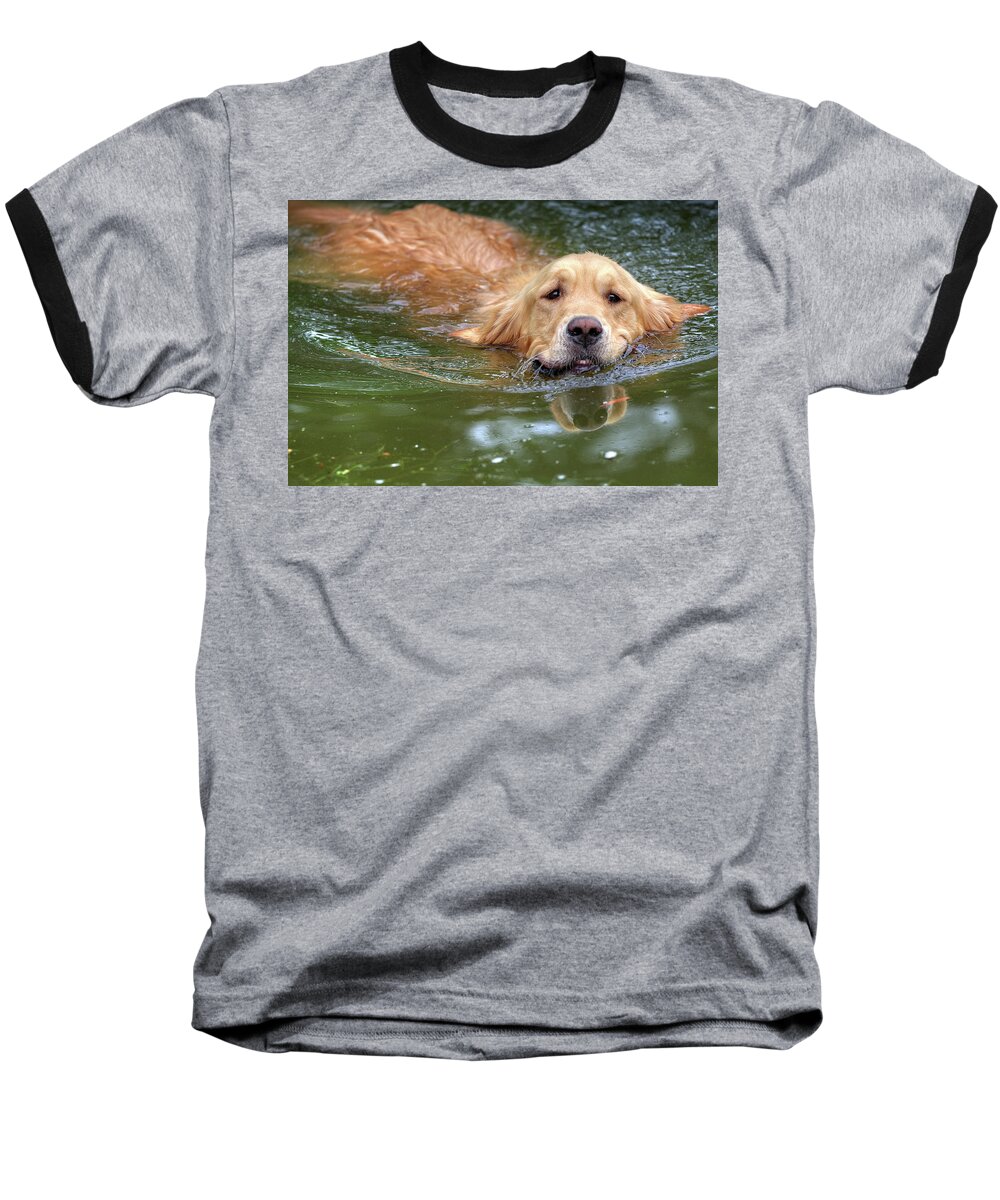 Dog Baseball T-Shirt featuring the photograph Emerging by Tatiana Travelways
