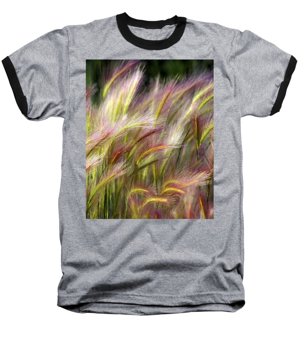 Plants Baseball T-Shirt featuring the photograph Tall Grass by Marty Koch