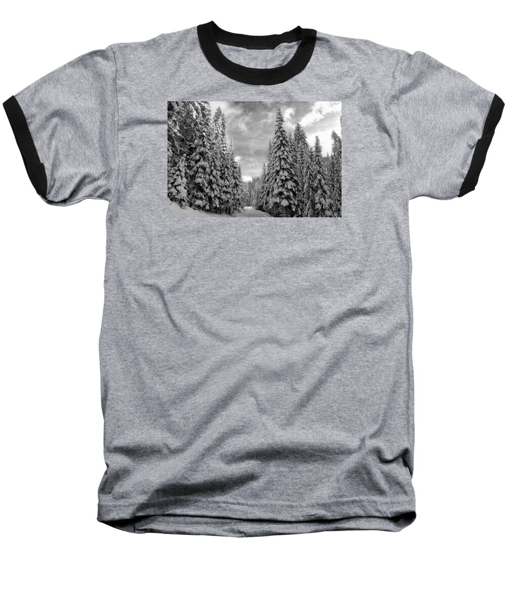 Tall Snowy Trees Baseball T-Shirt featuring the photograph Tall snowy trees by Lynn Hopwood