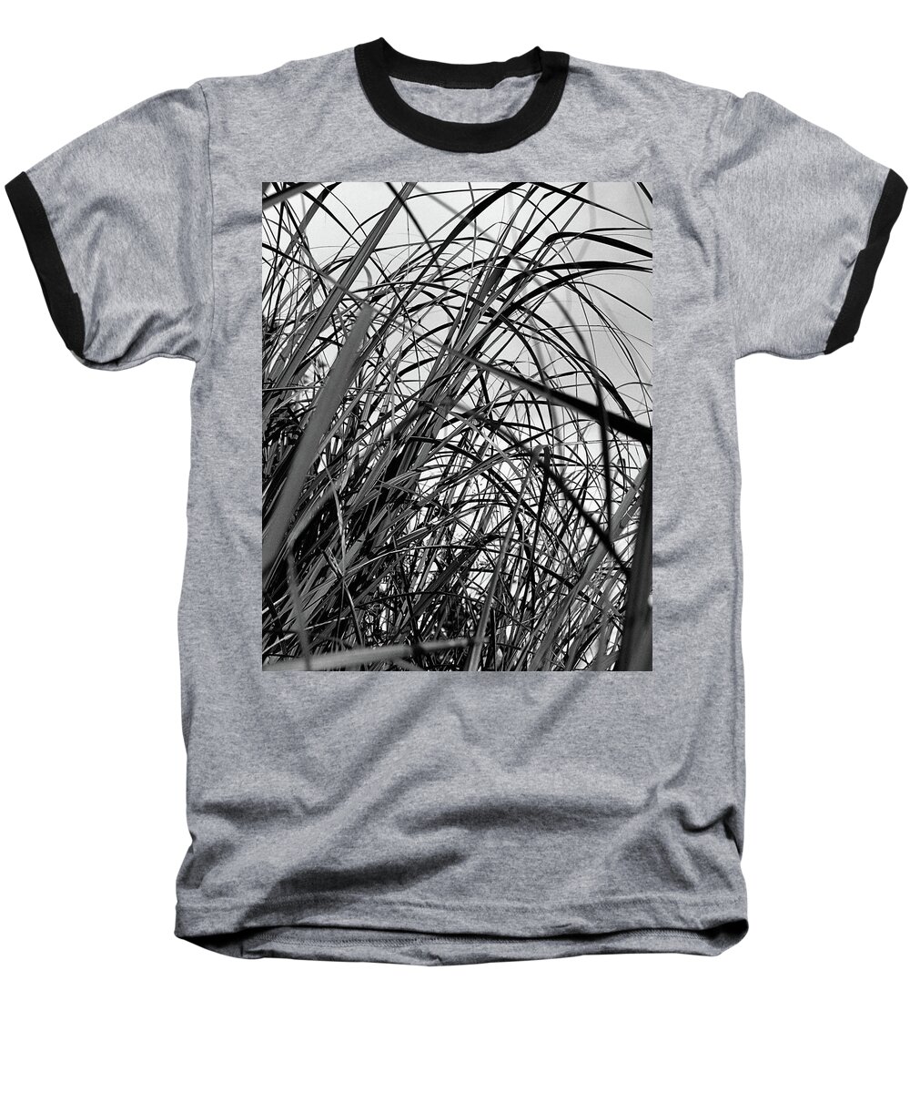 Abstract Baseball T-Shirt featuring the photograph Tangled Grass by Sue Capuano