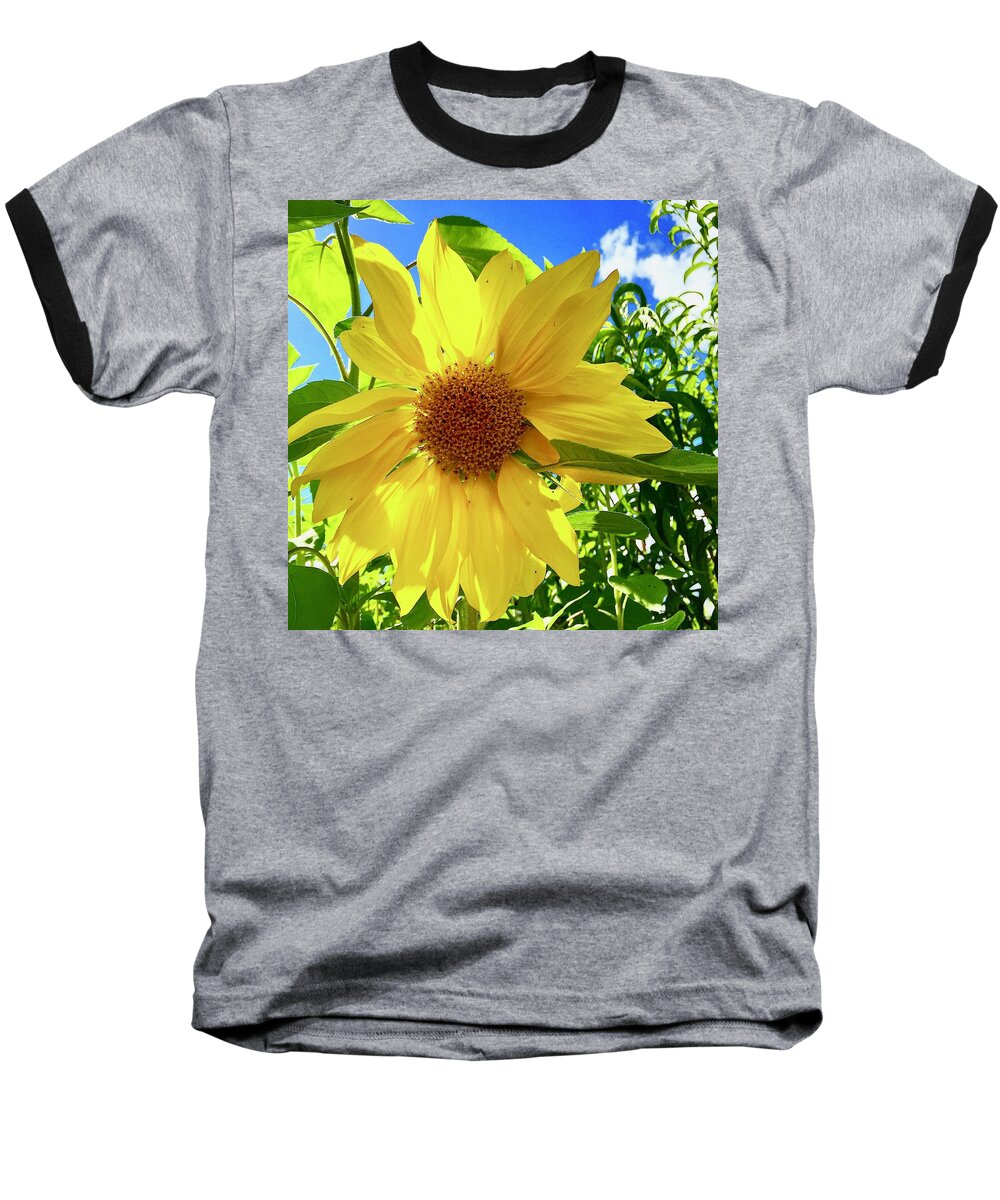 Sunflower Baseball T-Shirt featuring the photograph Tangled Sunflower by Brian Eberly