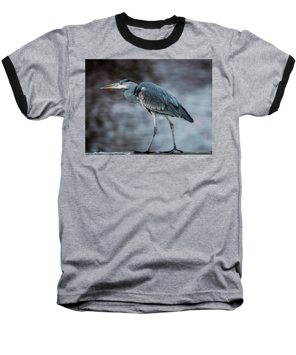 Target-oriented Grey Heron Baseball T-Shirt featuring the photograph Target Oriented Grey Heron in Profile by Torbjorn Swenelius