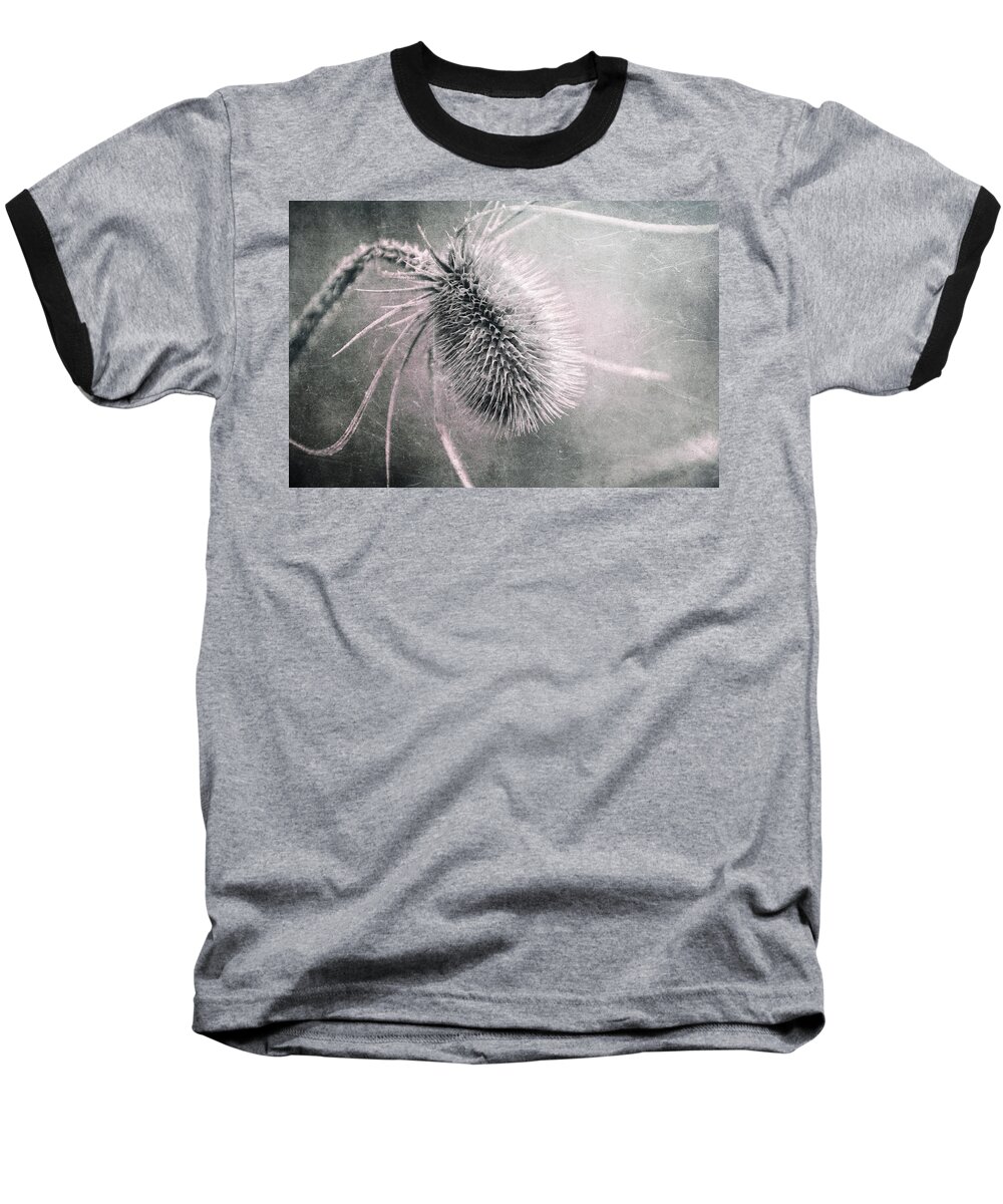 Plant Baseball T-Shirt featuring the photograph Teazel Weed by Tom Mc Nemar