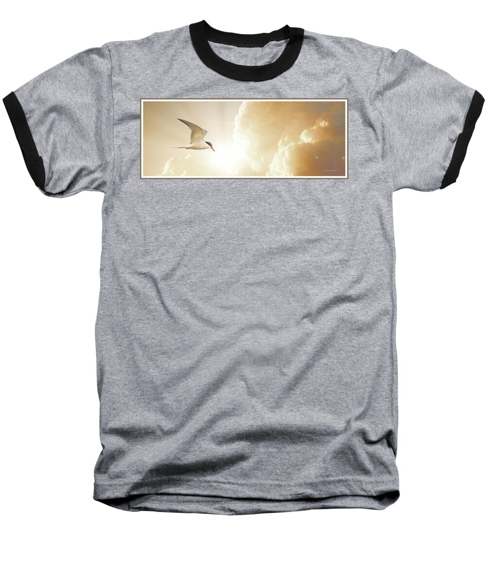 Tern Baseball T-Shirt featuring the photograph Tern in Flight, Spiritual Light of Dusk by A Macarthur Gurmankin