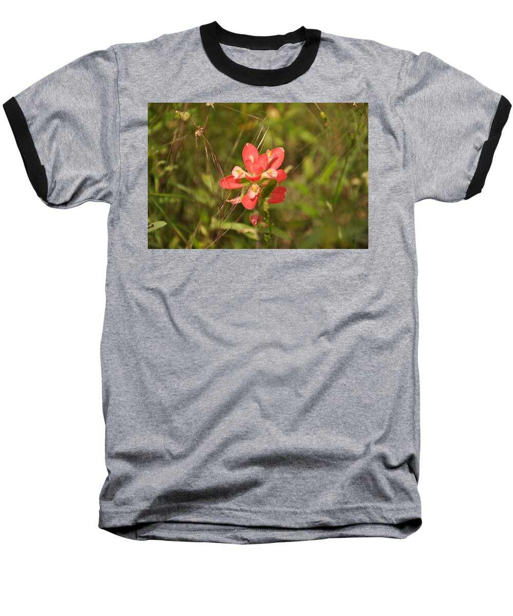Texas Hill Country Baseball T-Shirt featuring the photograph Texas Paintbrush by Frank Madia