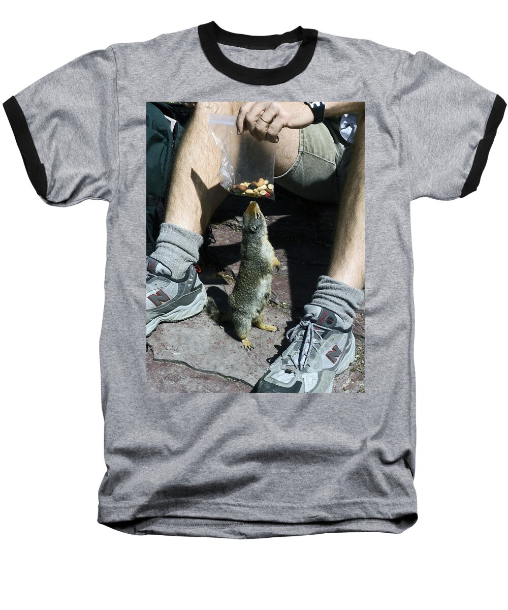 Columbian Ground Squirrel Begging Food Baseball T-Shirt featuring the photograph That Smells Good by Sally Weigand