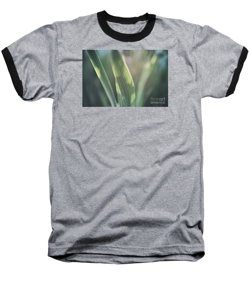 Allotment Baseball T-Shirt featuring the photograph The Allotment Project - Sweetcorn Leaves by Clayton Bastiani