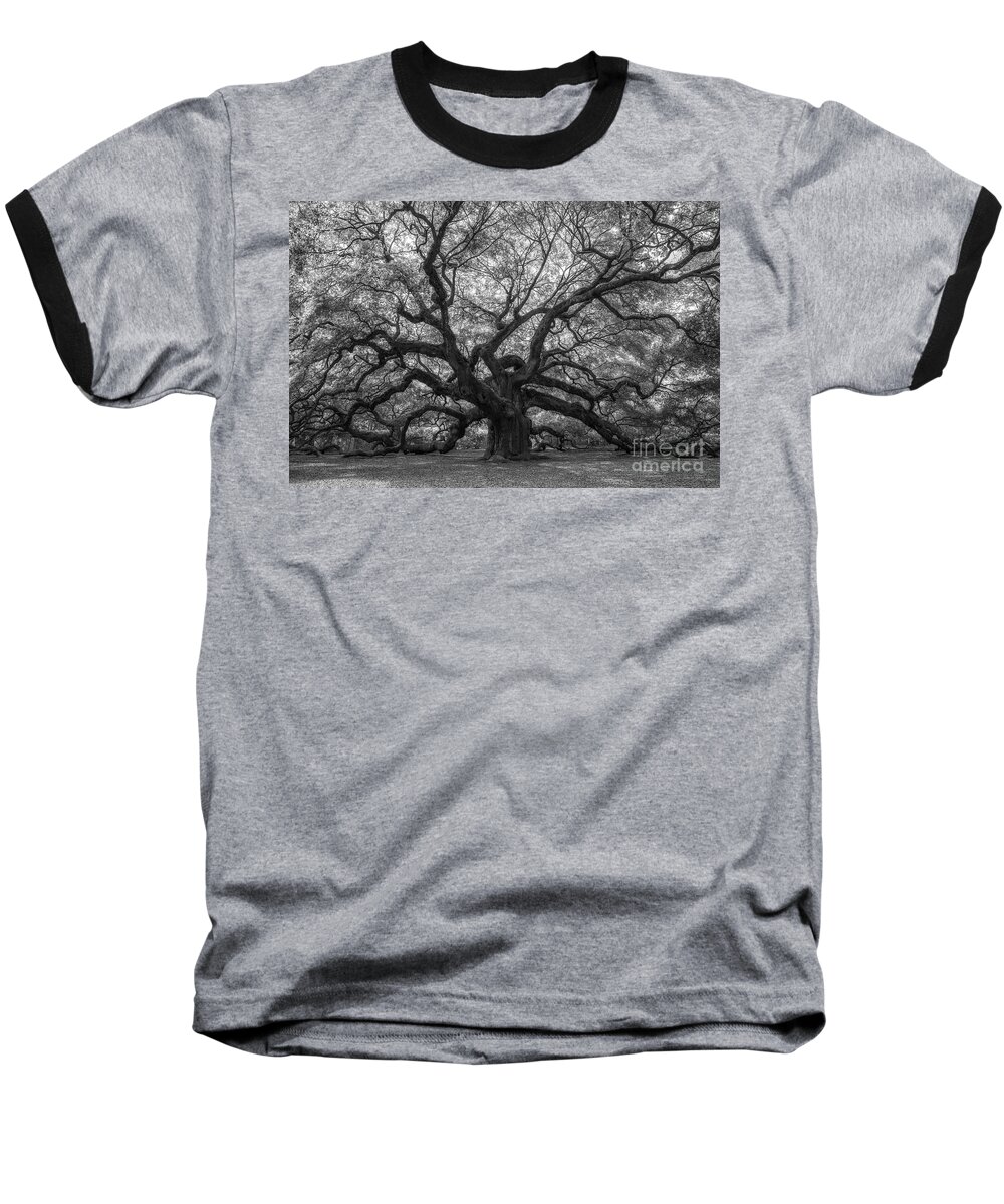 Angel Oak Tree Baseball T-Shirt featuring the photograph The Angel Oak Tree BW by Michael Ver Sprill