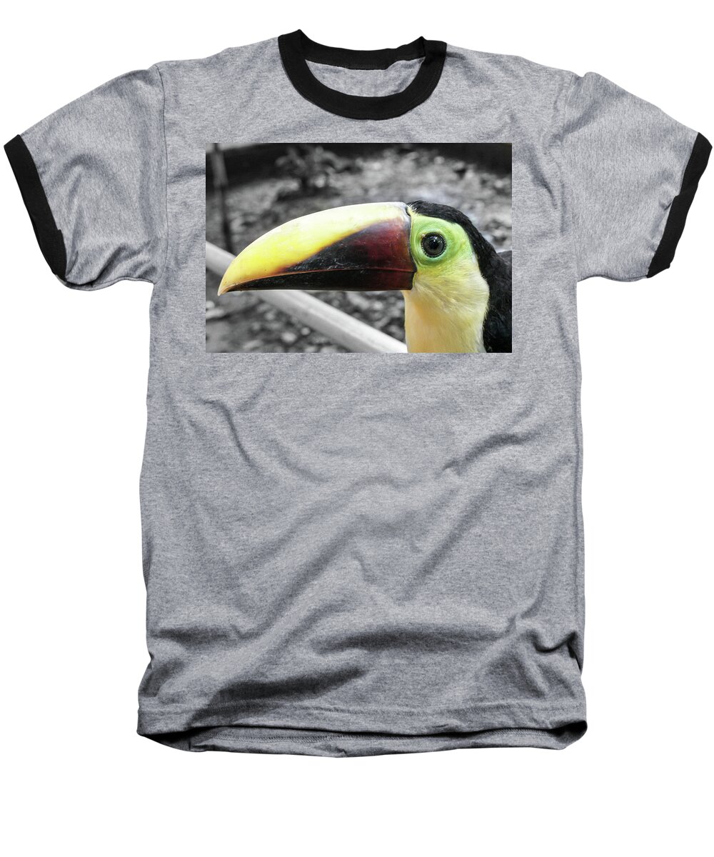 Pteroglossus Inscriptus Baseball T-Shirt featuring the photograph The big toucan by Nick Mares