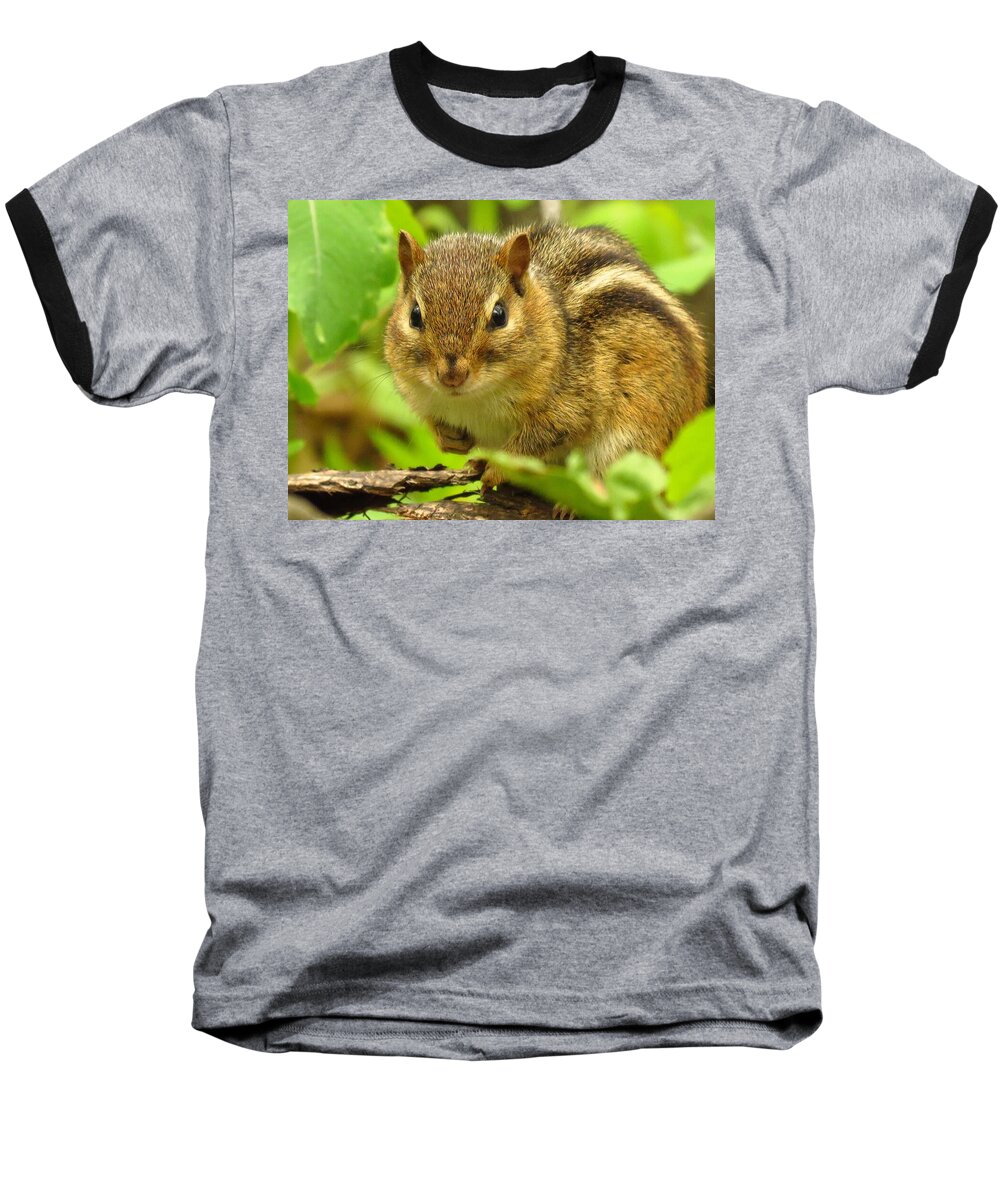 Chipmunk Baseball T-Shirt featuring the photograph The Chipster by Lori Frisch