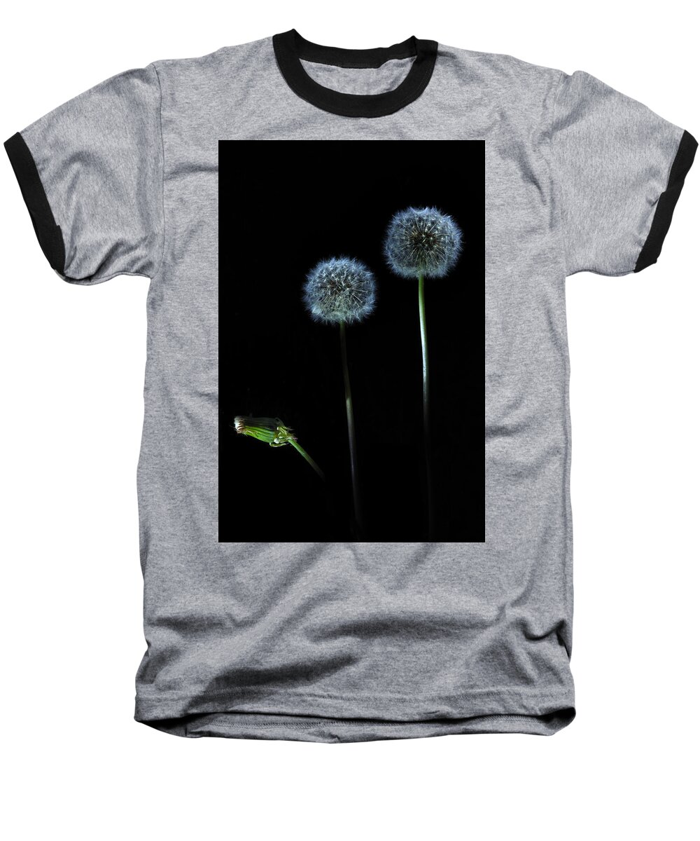 Dandelion Baseball T-Shirt featuring the photograph The Darkness Can't Hide You by Mark Fuller
