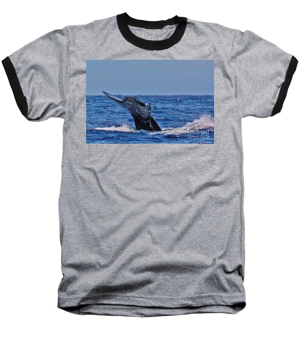 Seascape Baseball T-Shirt featuring the photograph The Dive by Sheila Ping