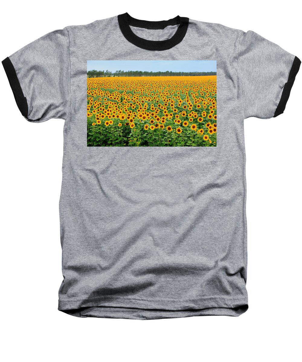 Sunflower Baseball T-Shirt featuring the photograph The Field of Suns by Victor Kovchin