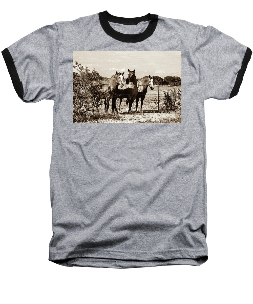 Horse Baseball T-Shirt featuring the photograph The Girlz sepia by Toma Caul