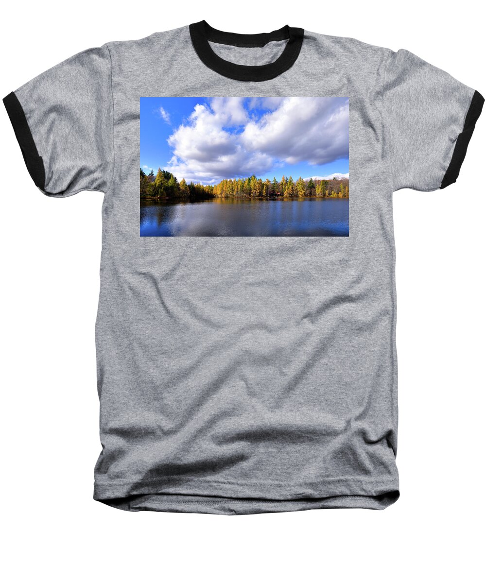 The Golden Forest At Woodcraft Baseball T-Shirt featuring the photograph The Golden Forest at Woodcraft by David Patterson