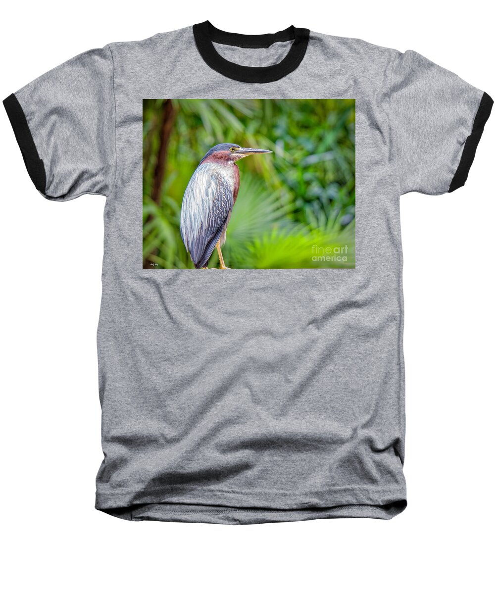 Birds Baseball T-Shirt featuring the photograph The Green Heron by Judy Kay