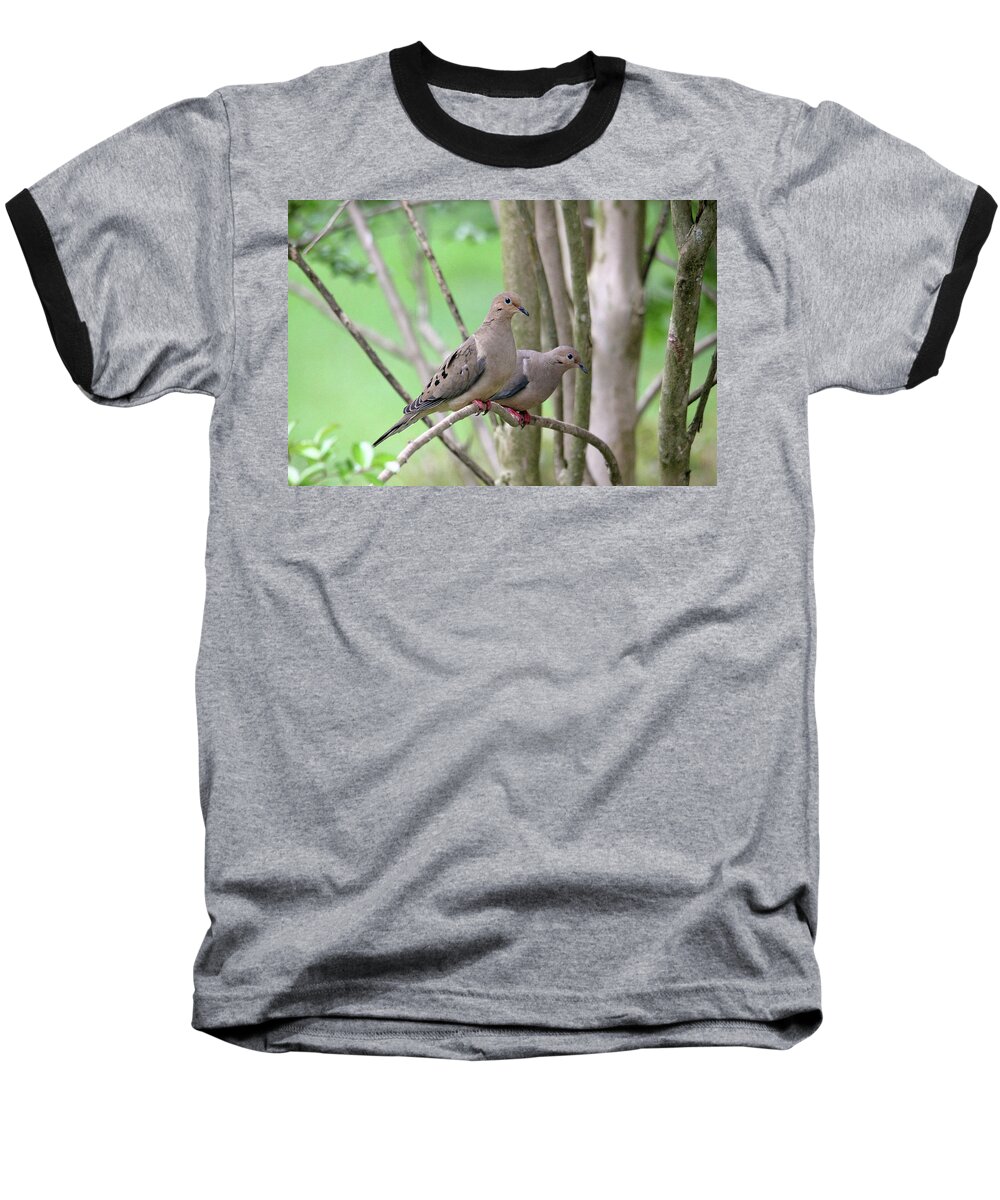 Mourning Doves Baseball T-Shirt featuring the photograph The Happy Couple by Trina Ansel