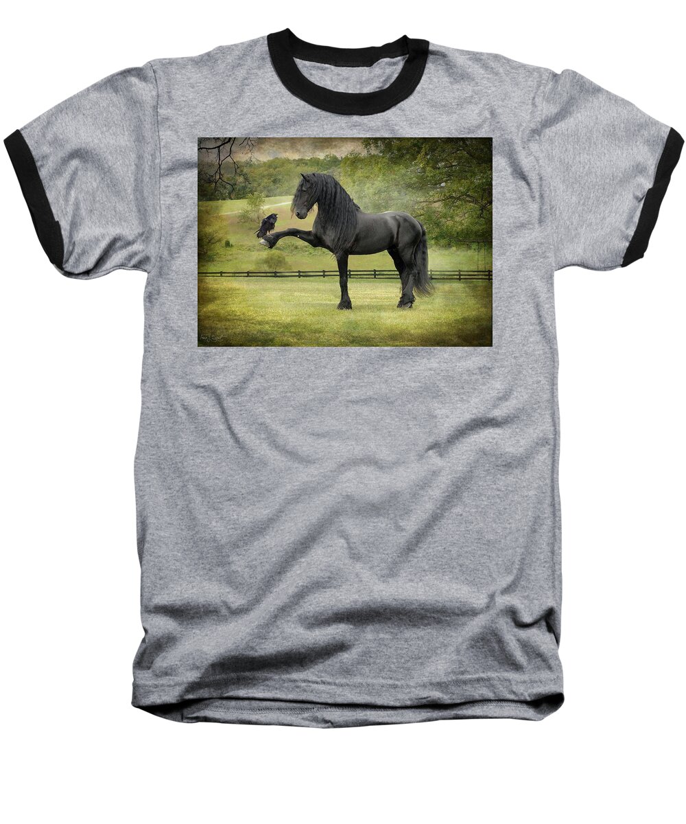 Friesian Horses Baseball T-Shirt featuring the photograph The Harbinger by Fran J Scott