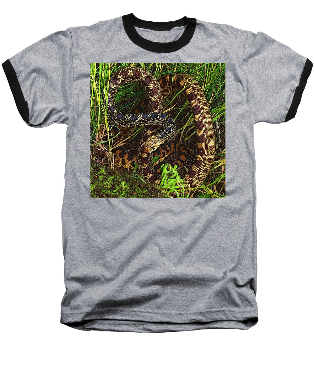 Bullsnake Baseball T-Shirt featuring the mixed media The Impersonator by Shelli Fitzpatrick