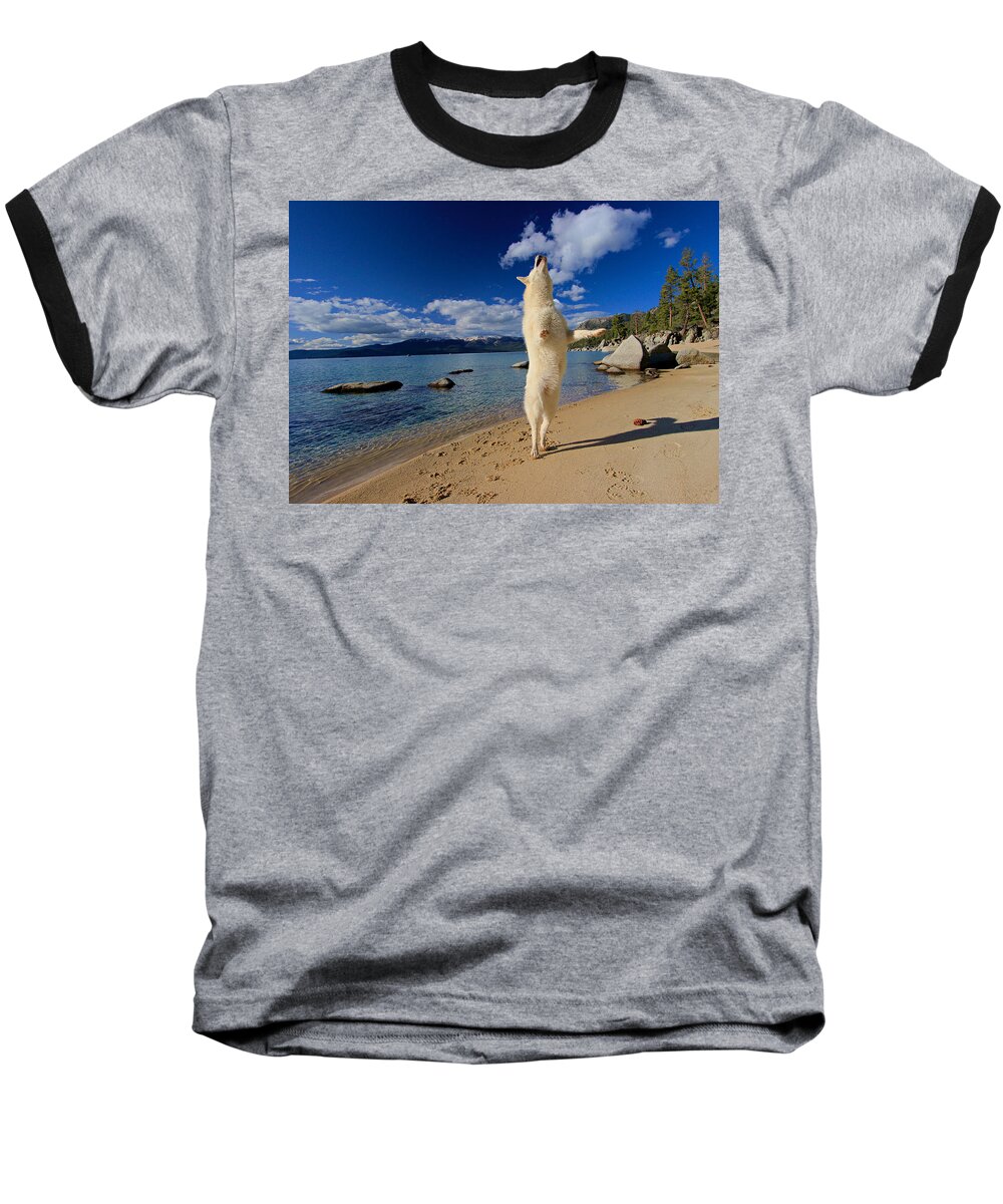 Lake Tahoe Baseball T-Shirt featuring the photograph The Joy of Being Well Loved by Sean Sarsfield