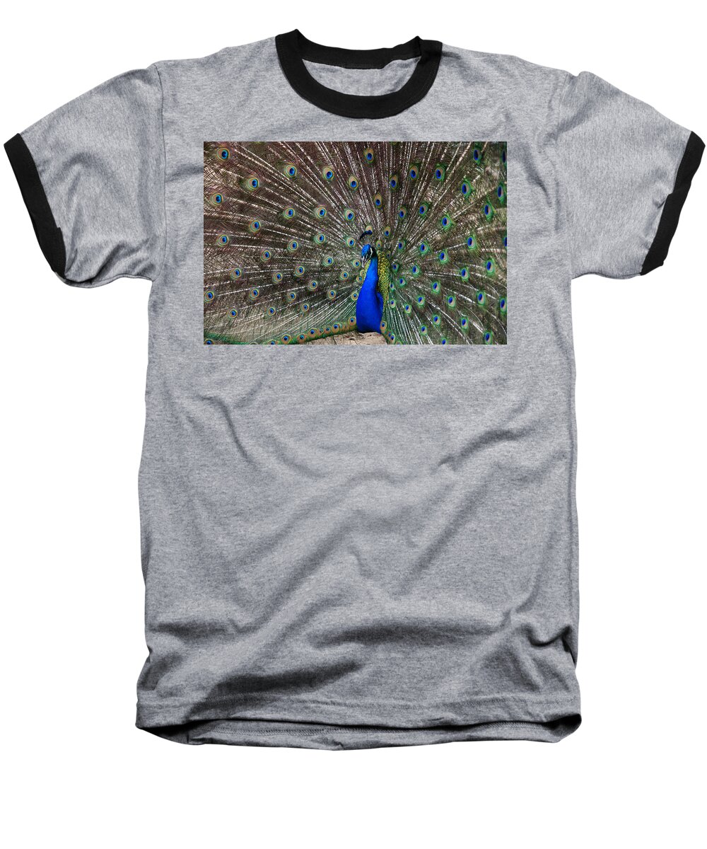 Peacock Baseball T-Shirt featuring the photograph The King by Susanne Van Hulst