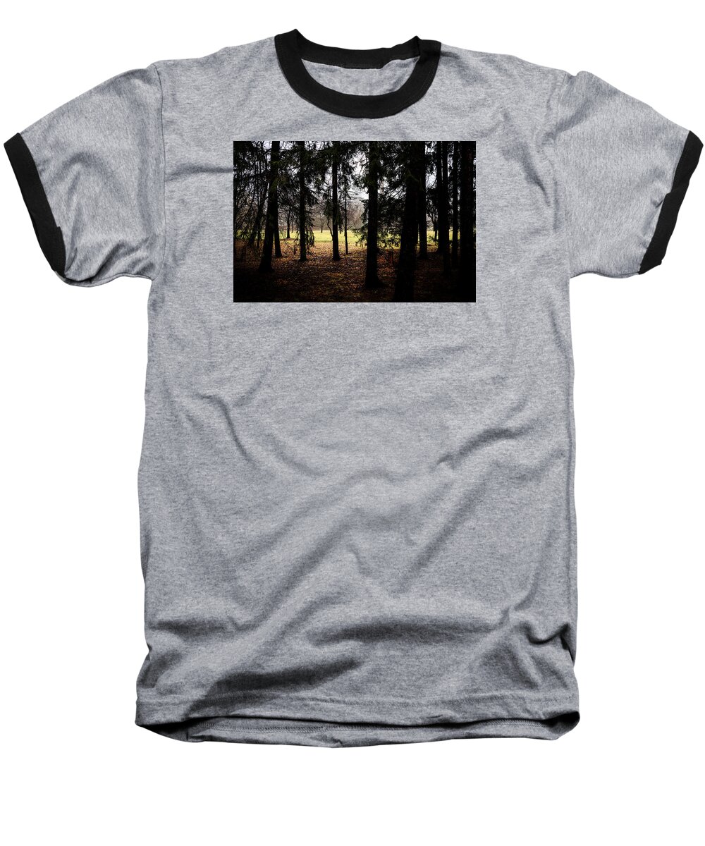 Trees Baseball T-Shirt featuring the photograph The Light After the Woods by Celso Bressan