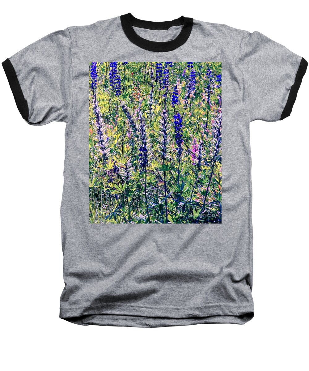 Lupine Flowers Baseball T-Shirt featuring the photograph The Mix by Elfriede Fulda