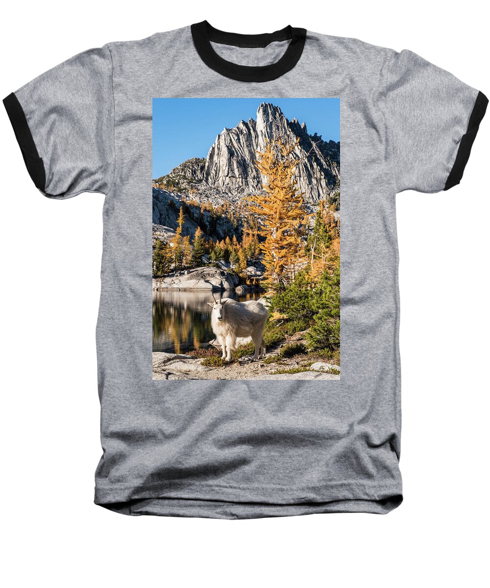 Enchantments Baseball T-Shirt featuring the digital art The mountain goat in the Enchantments by Michael Lee