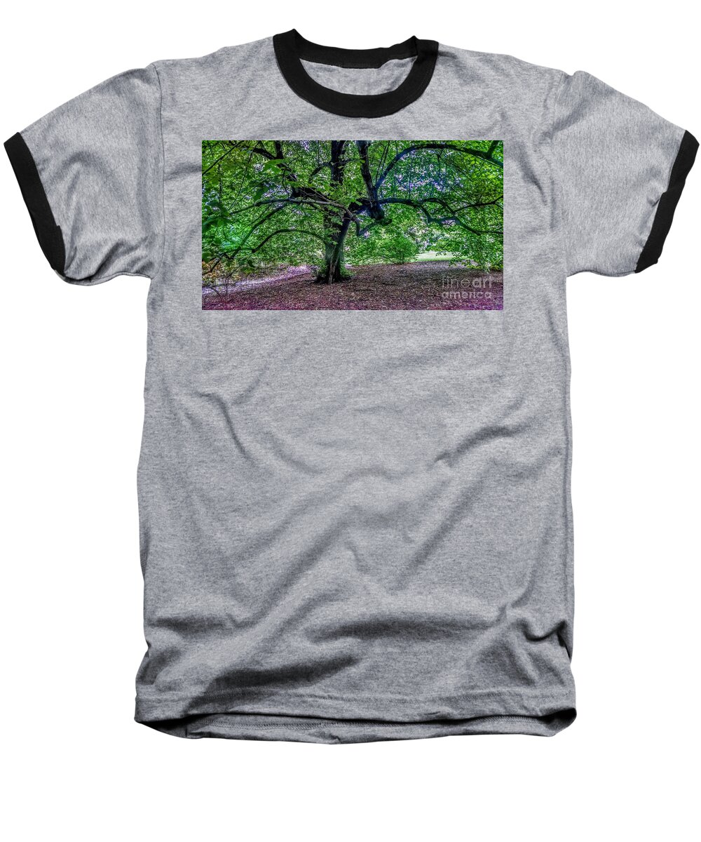 New Jersey Baseball T-Shirt featuring the photograph The Old Tree at Frelinghuysen Arboretum by Christopher Lotito