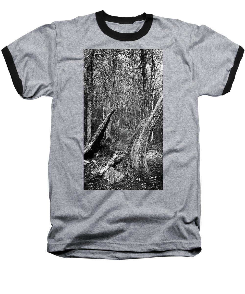 Forest Baseball T-Shirt featuring the photograph The Path Through the Woods BandW by George Taylor