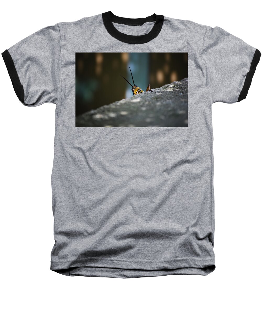Bugs Baseball T-Shirt featuring the photograph The Real Hopper by Robert Meanor