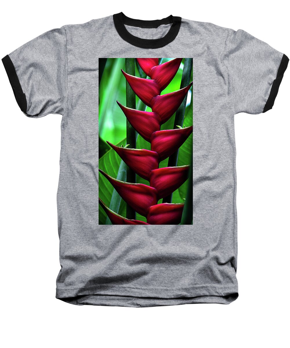 Floral Baseball T-Shirt featuring the photograph The red by Camille Lopez