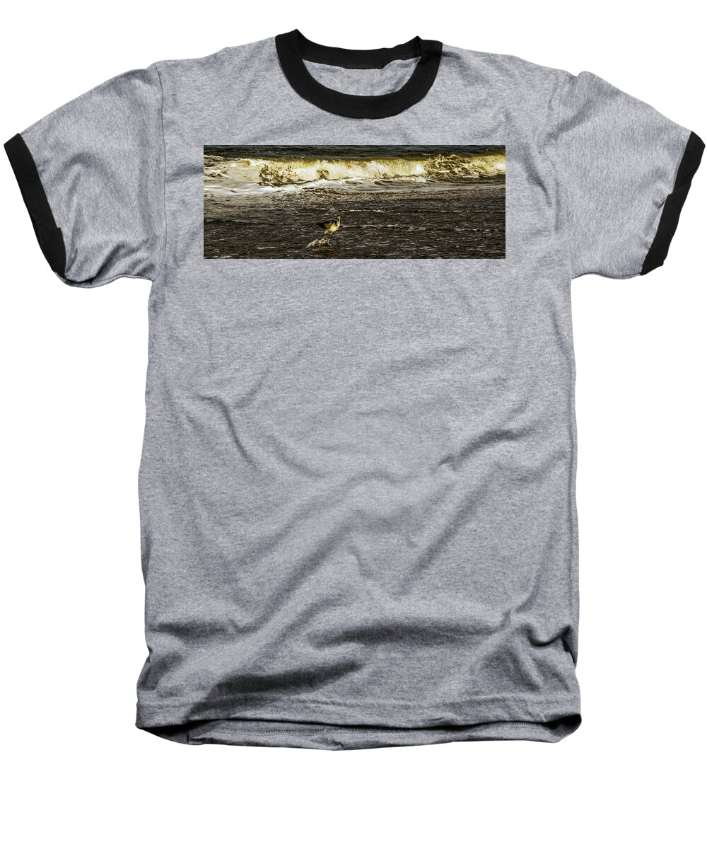 The Wading Willet Prints Baseball T-Shirt featuring the photograph The Wading Willet by John Harding