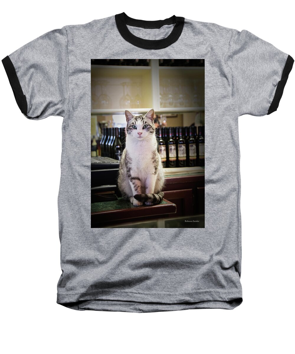 Winery Baseball T-Shirt featuring the photograph The Winery Cat by Rebecca Samler