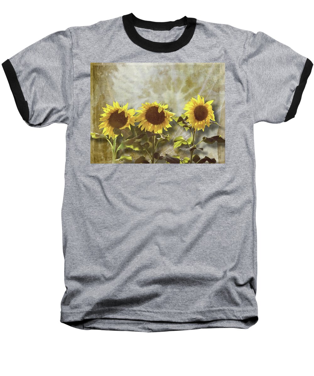 Texture Baseball T-Shirt featuring the photograph Three in the Sun by Melinda Ledsome