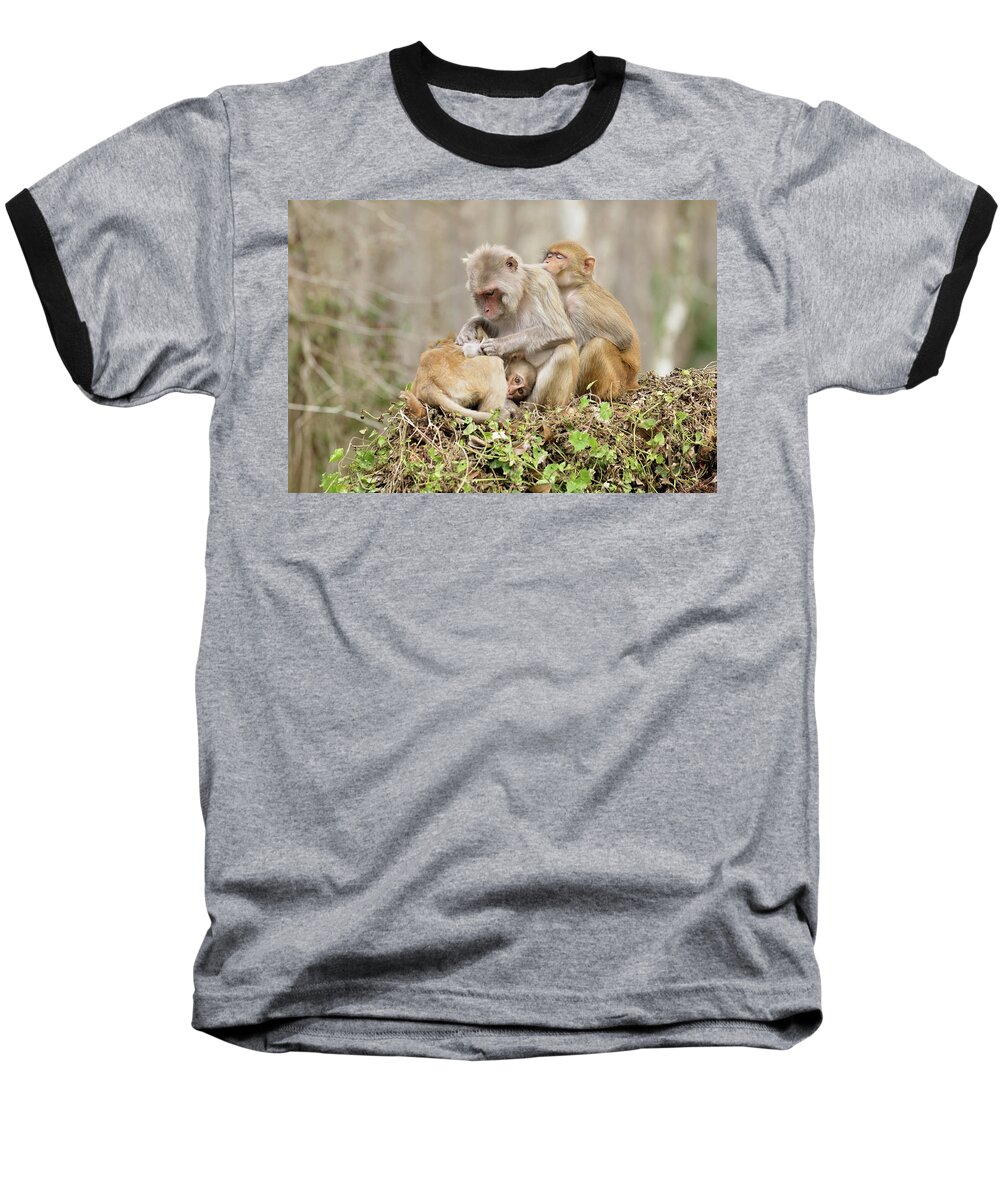 Monkeys Baseball T-Shirt featuring the photograph Three Little Monkeys by Eilish Palmer