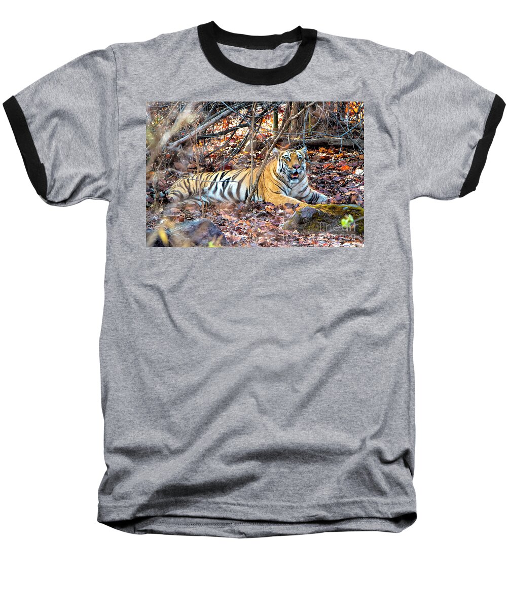 Tiger Baseball T-Shirt featuring the photograph Tigress in the woods by Pravine Chester