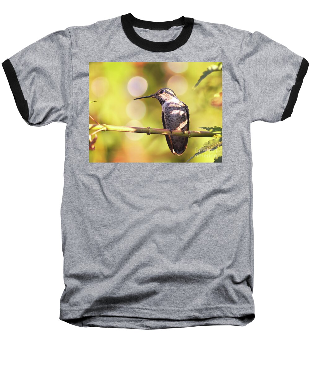 Hummingbird Baseball T-Shirt featuring the photograph Tiny Bird Upon a Branch by Debby Pueschel