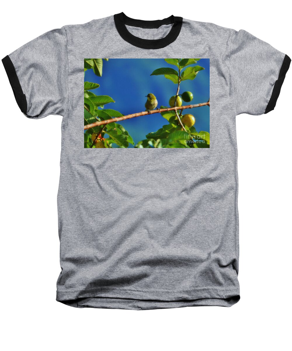 Meijiro Baseball T-Shirt featuring the photograph Tiny White Eye and Guava by Craig Wood