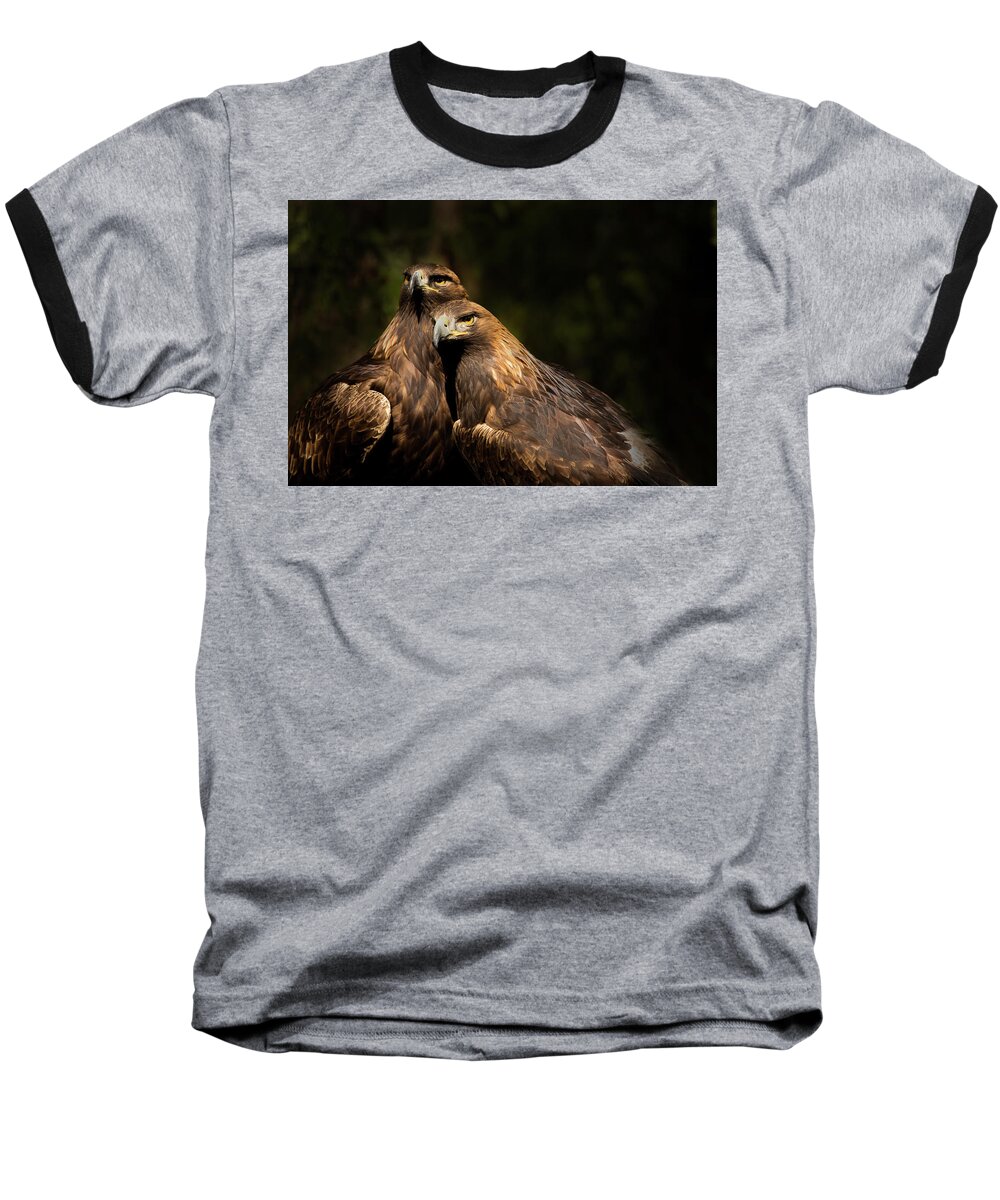 Bird Baseball T-Shirt featuring the photograph Together by Bob Cournoyer