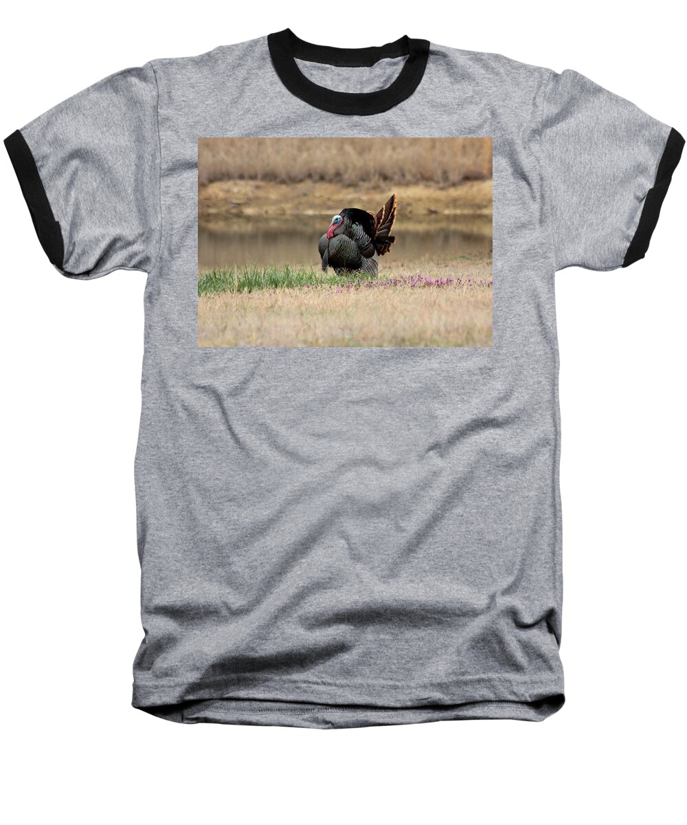 Nature Baseball T-Shirt featuring the photograph Tom Turkey at Pond by Sheila Brown