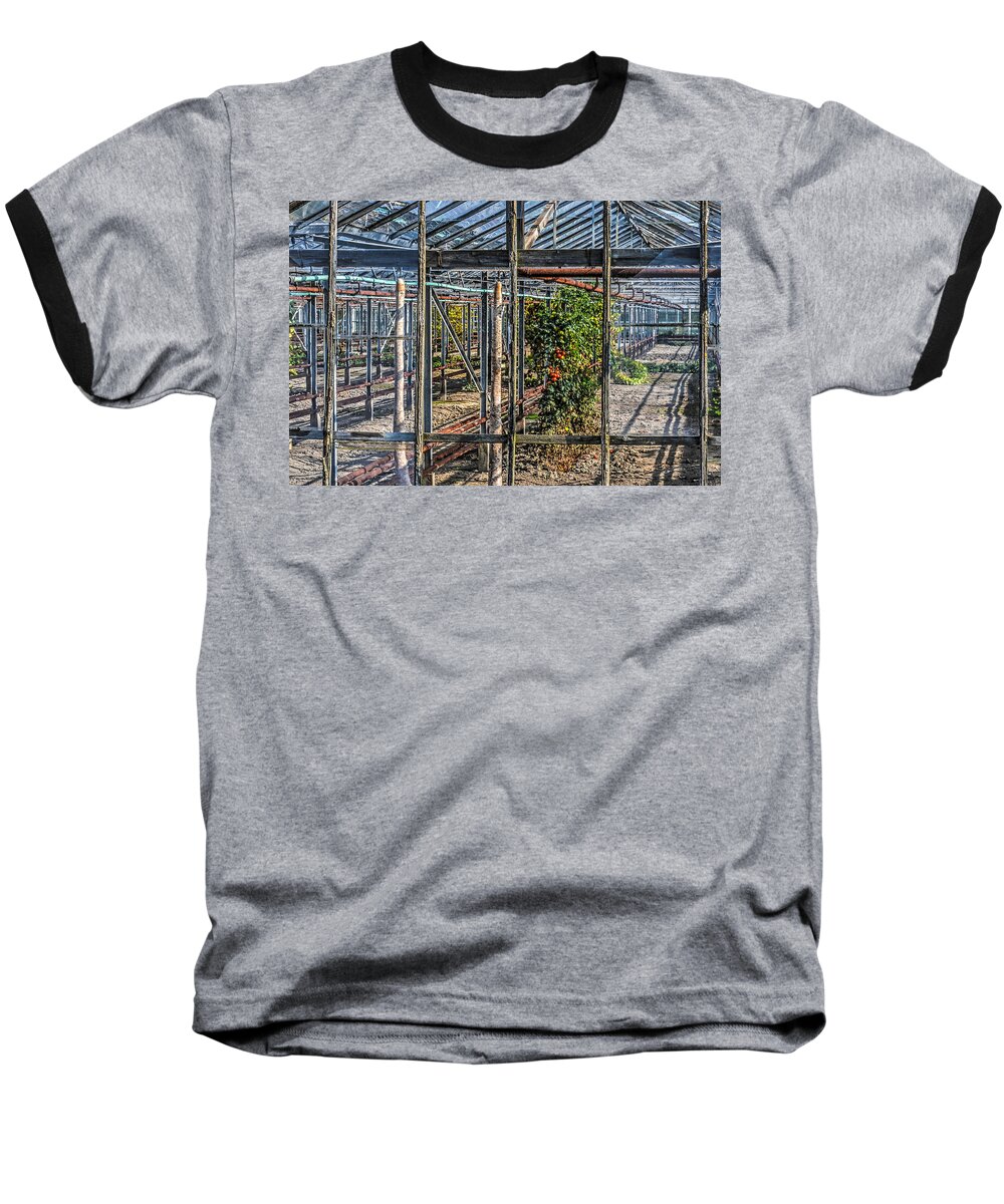 Greenhouse Baseball T-Shirt featuring the photograph Tomatoes and Pumpkins by Frans Blok