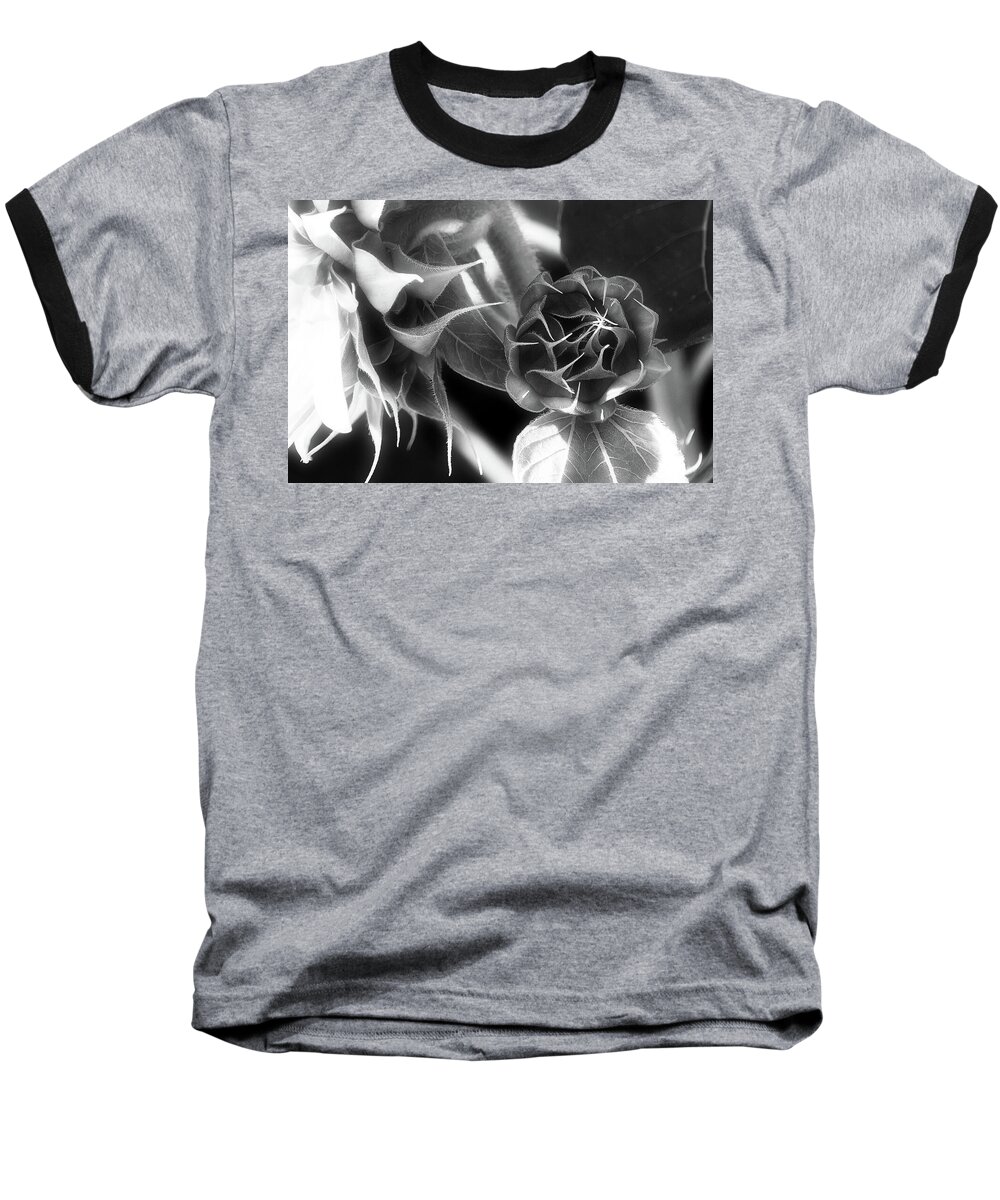 Beautiful Light Baseball T-Shirt featuring the photograph Touched by Light - by Julie Weber