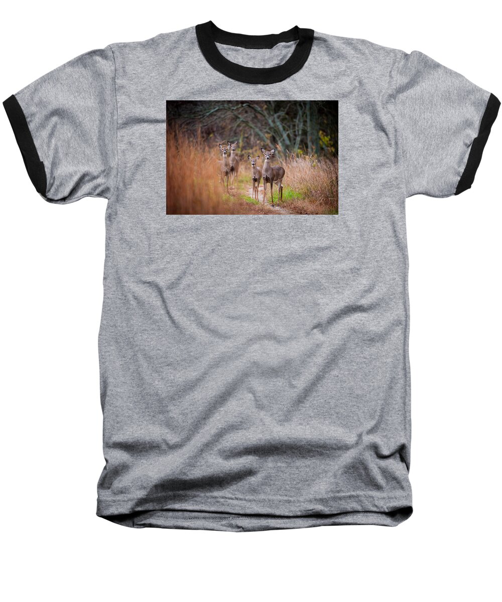 Wildlife Baseball T-Shirt featuring the photograph Trail Watchers by Jeff Phillippi