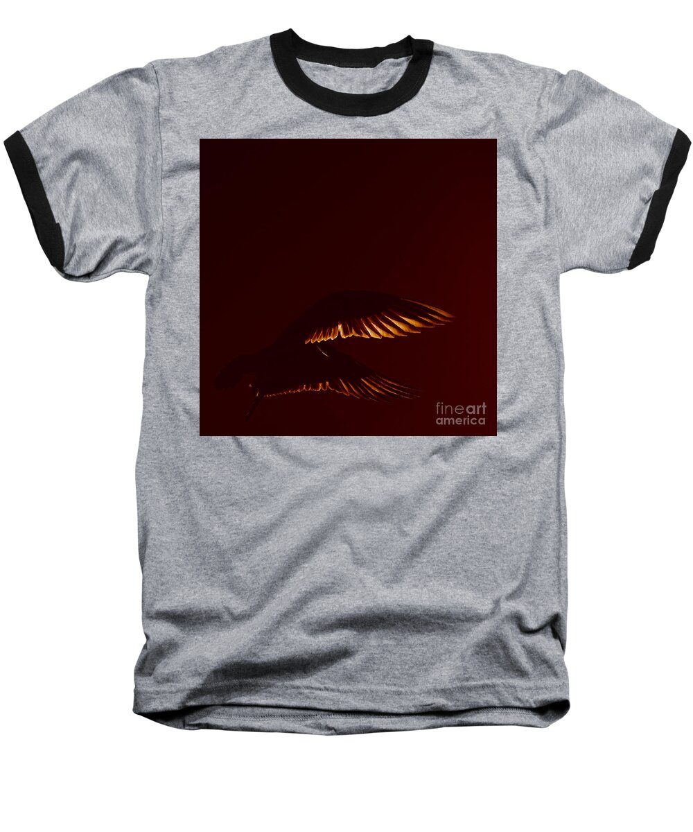 Photography By Paul Davenport Baseball T-Shirt featuring the photograph Transiently Translucent by Paul Davenport
