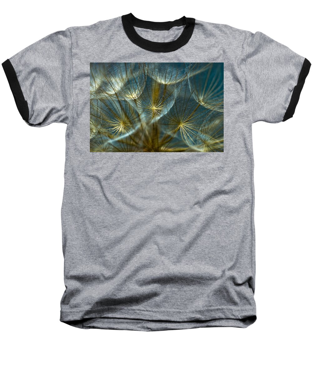 Dandelion Baseball T-Shirt featuring the photograph Translucid Dandelions by Iris Greenwell
