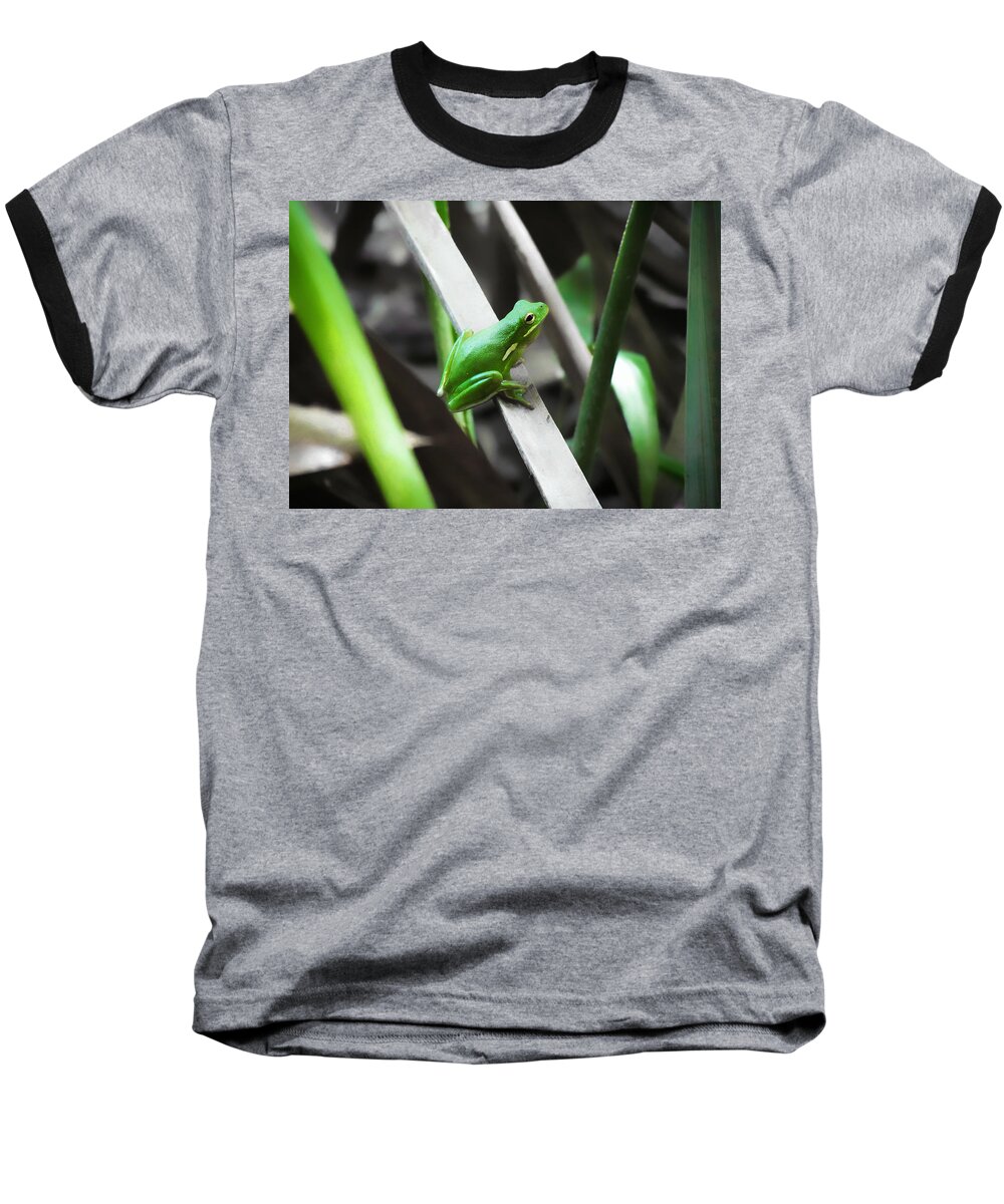 Wildlife Baseball T-Shirt featuring the photograph Tree Frog by Nathan Little
