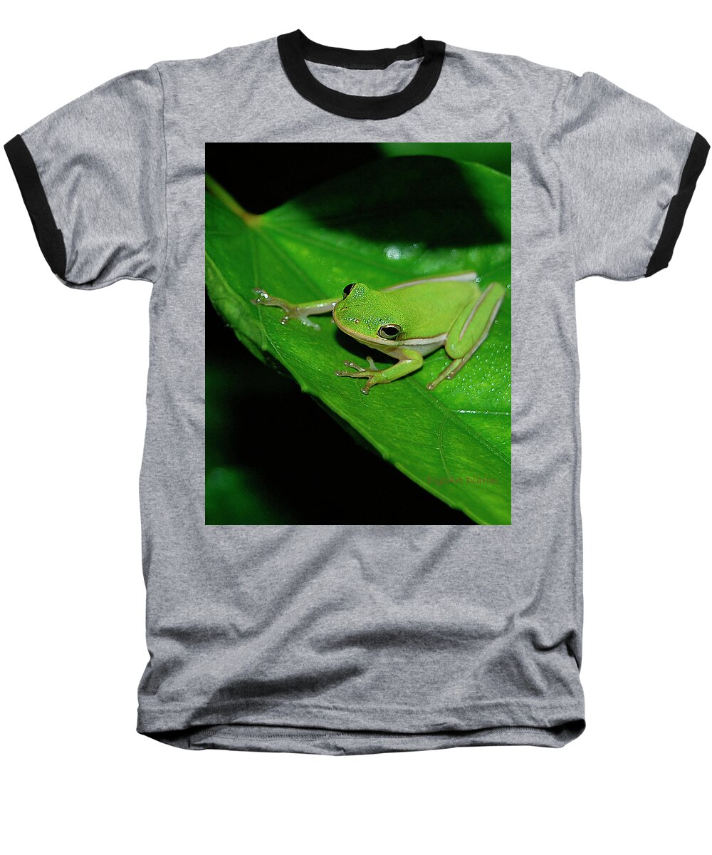 Frog Baseball T-Shirt featuring the digital art Tree Frog on Hibiscus Leaf by DigiArt Diaries by Vicky B Fuller